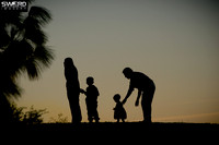 Families